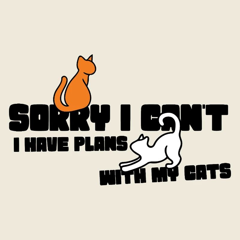 Midnight Whiskers : Duo Chat Orange & Blanc
