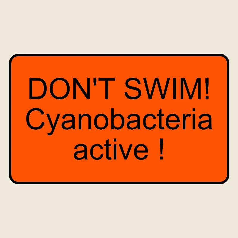 Cyanobactéries