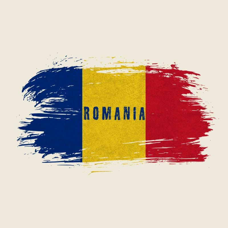 Roumanie Vintage Drapeau / Cadeau Bucarest Cluj