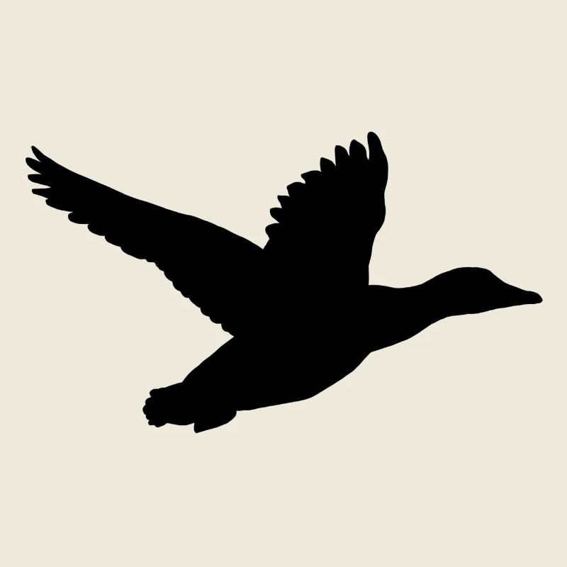 Ente im Flug