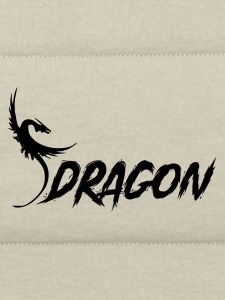 Dragon - Drache