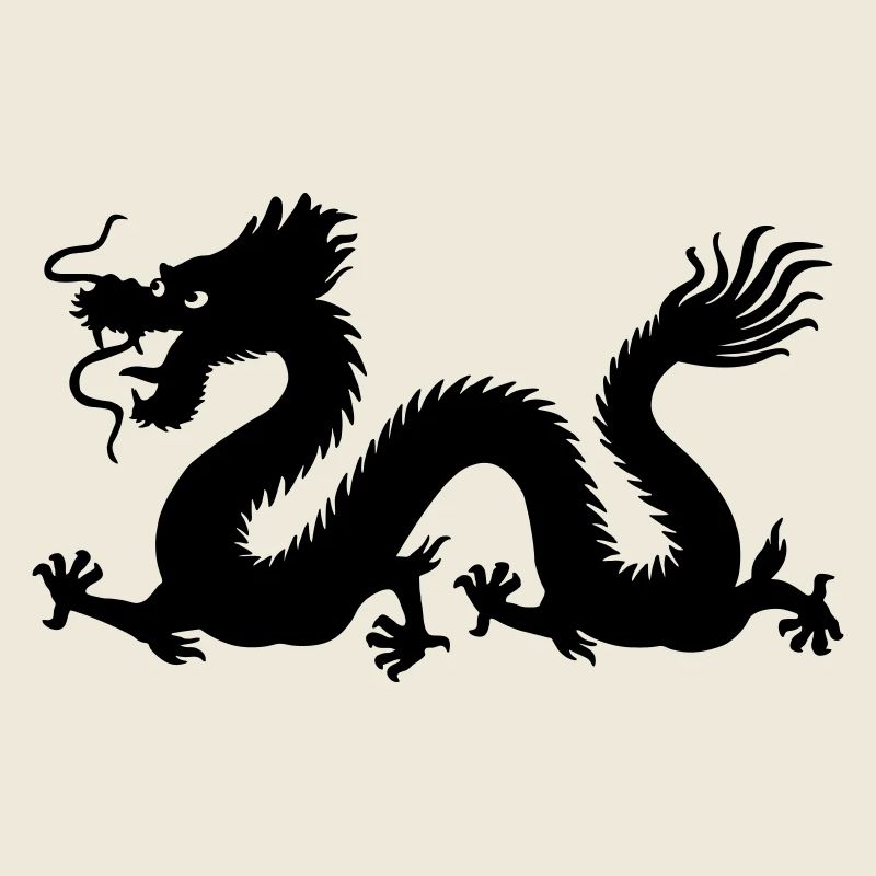 Image d’ombre de dragon année du dragon