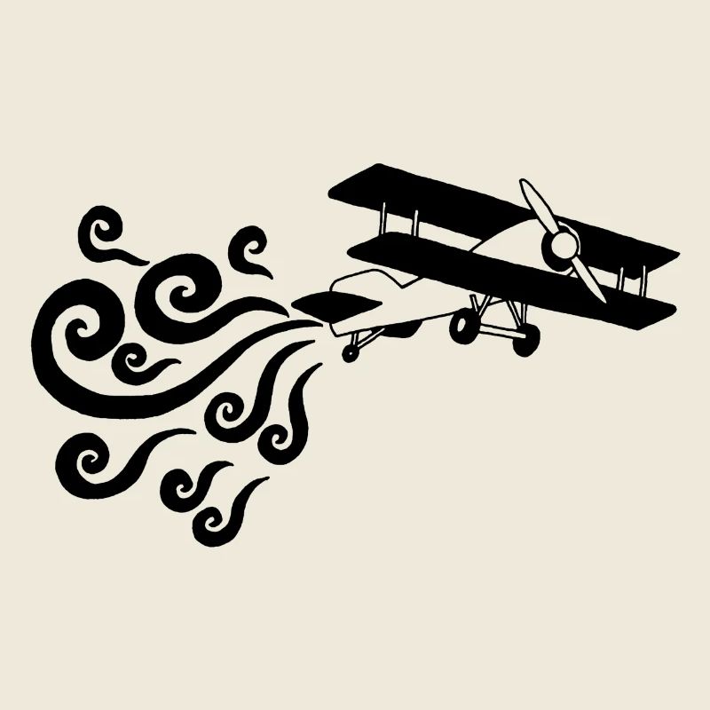 Avion vintage noir