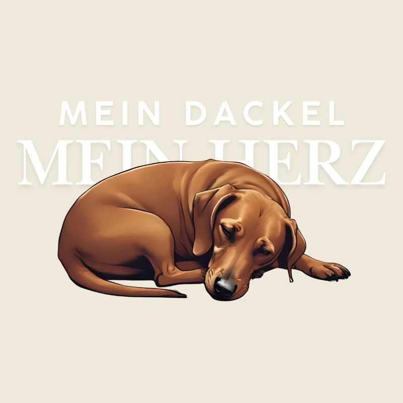 Mon teckel - mon cœur