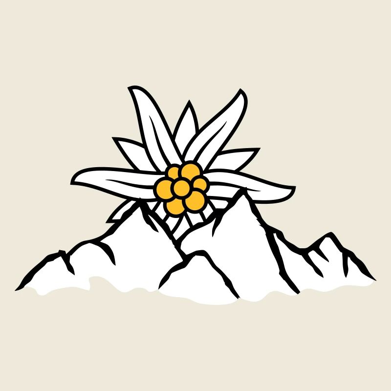 Sonne Bergblume Edelweiss