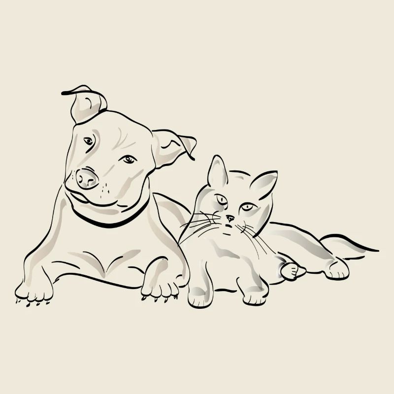 Chat chien