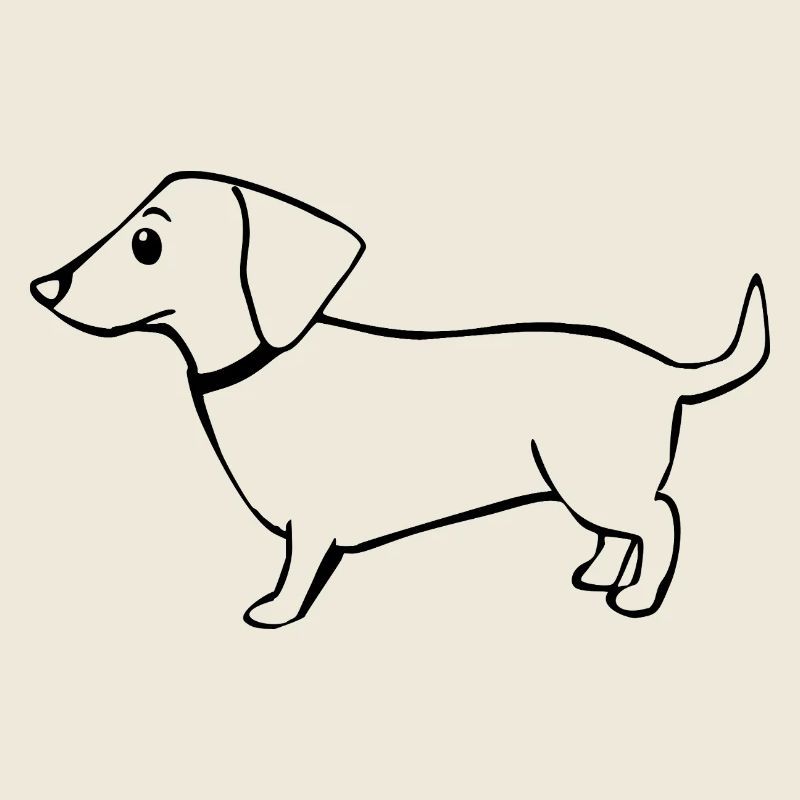 dachshund