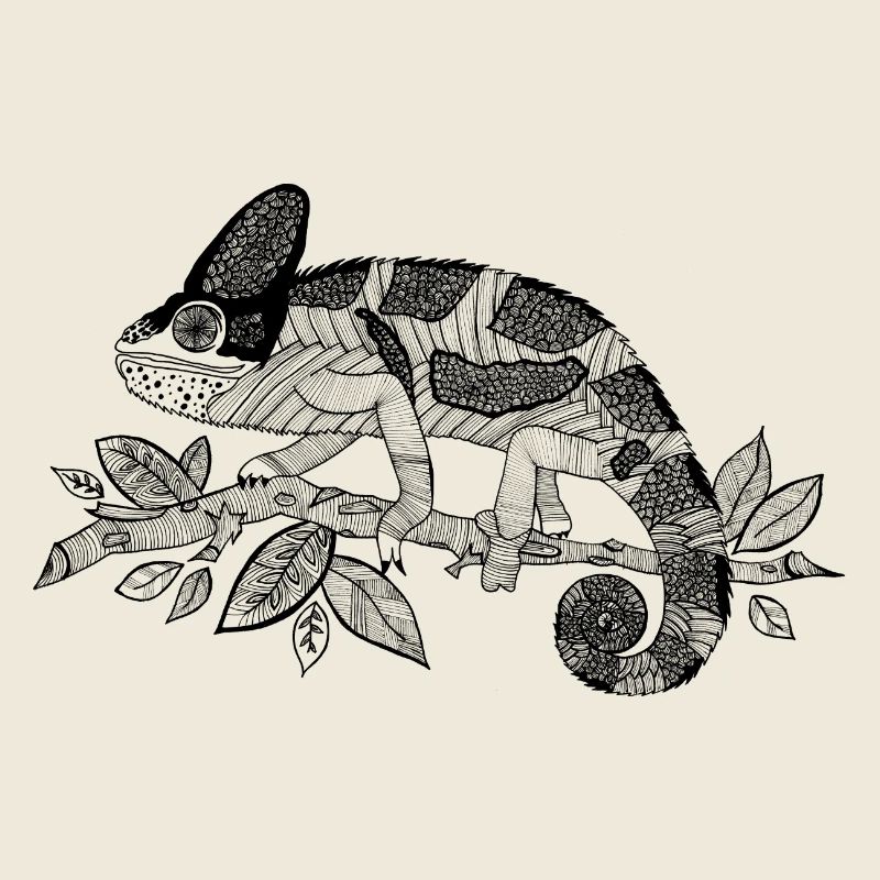 Chameleon