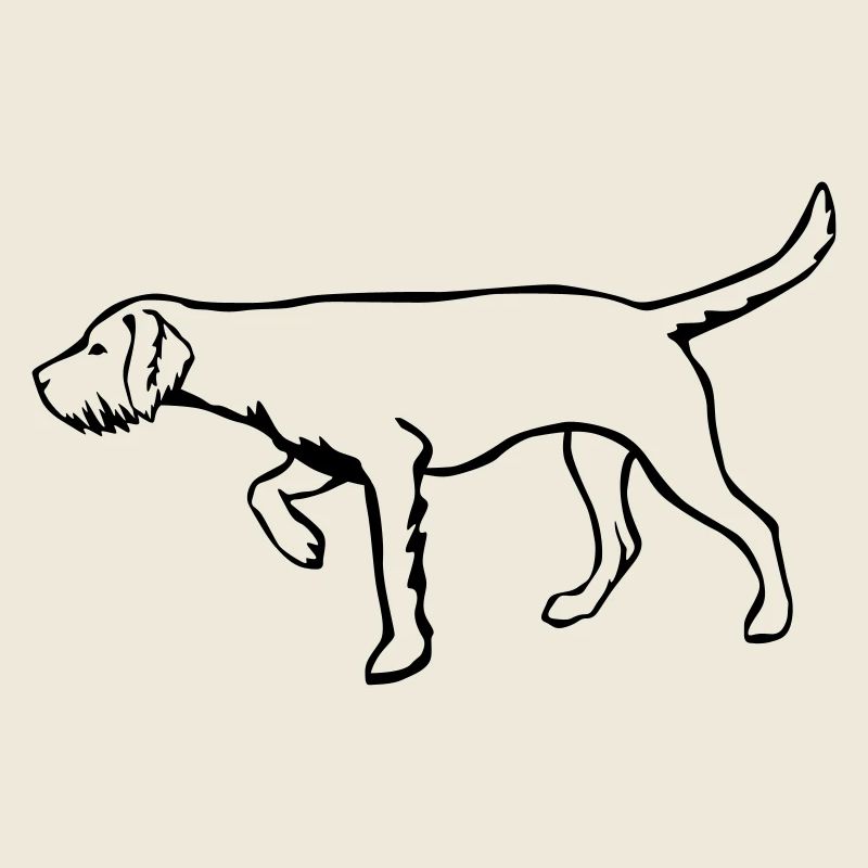 Magyar Vizsla