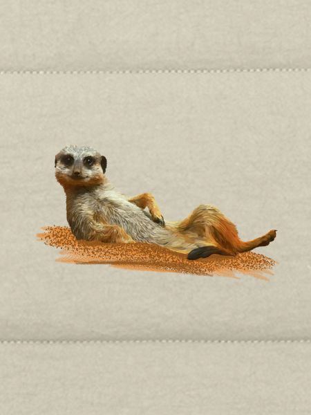 Suricate