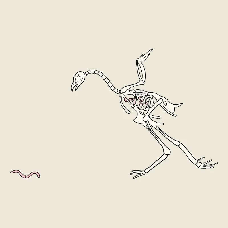 Skeleton Hen