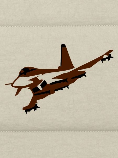 fighter_vektor 2farbig