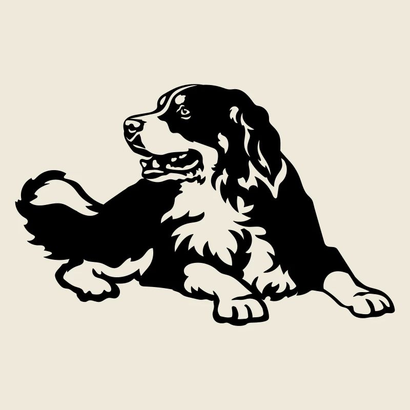 Bouvier bernois