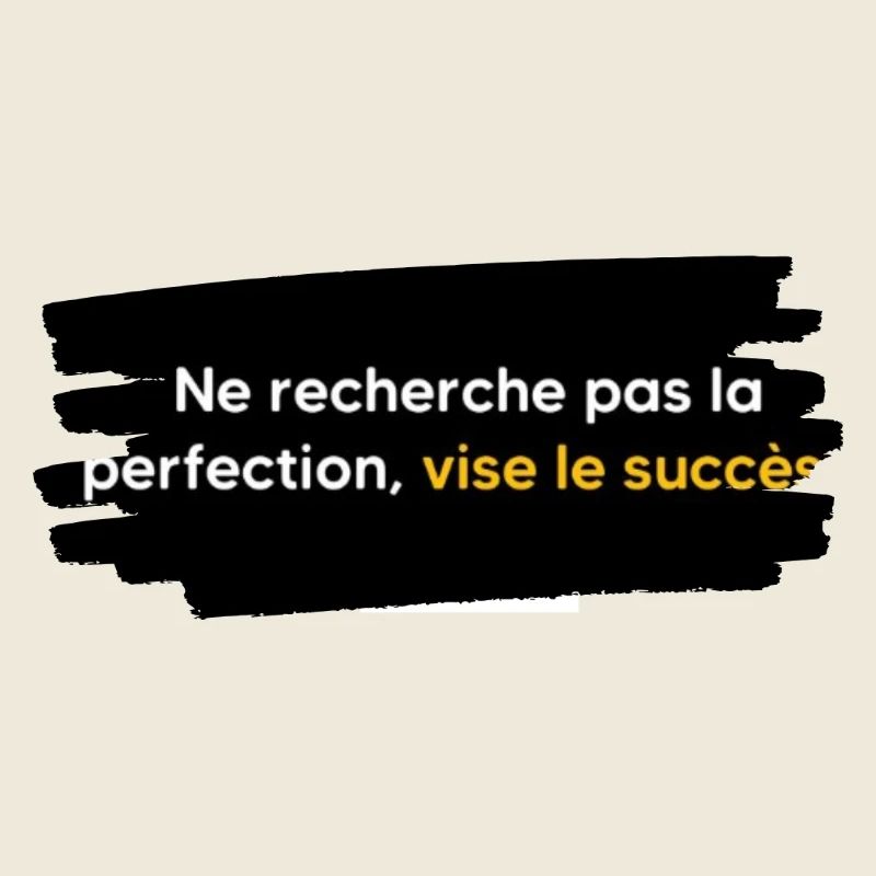 Ne cherche pas la perfection , vise le succès 
