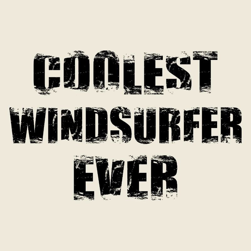 Coolest windsurfer ever