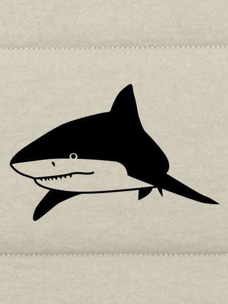 requin