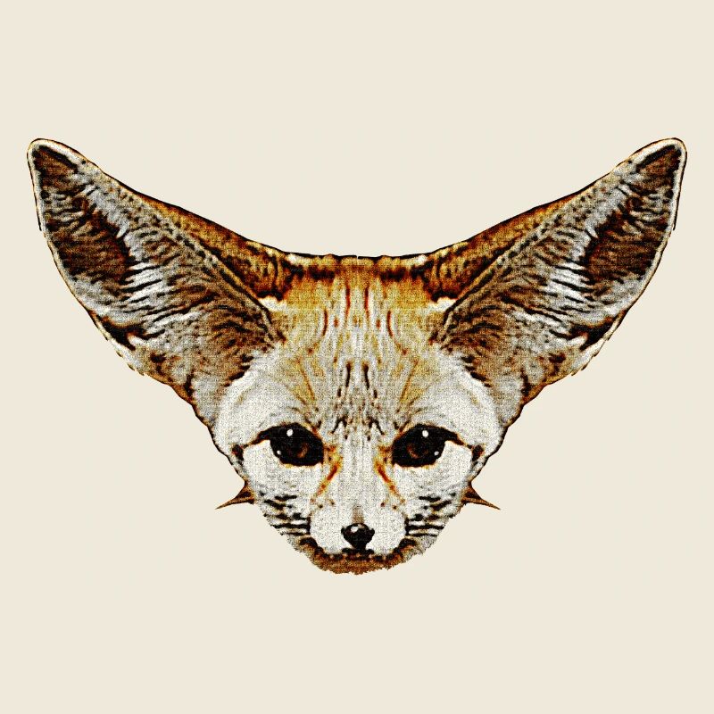 fuchskleidung mädchen, Wüstenfuchs gesicht
