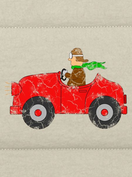 Auto mit Fahrer