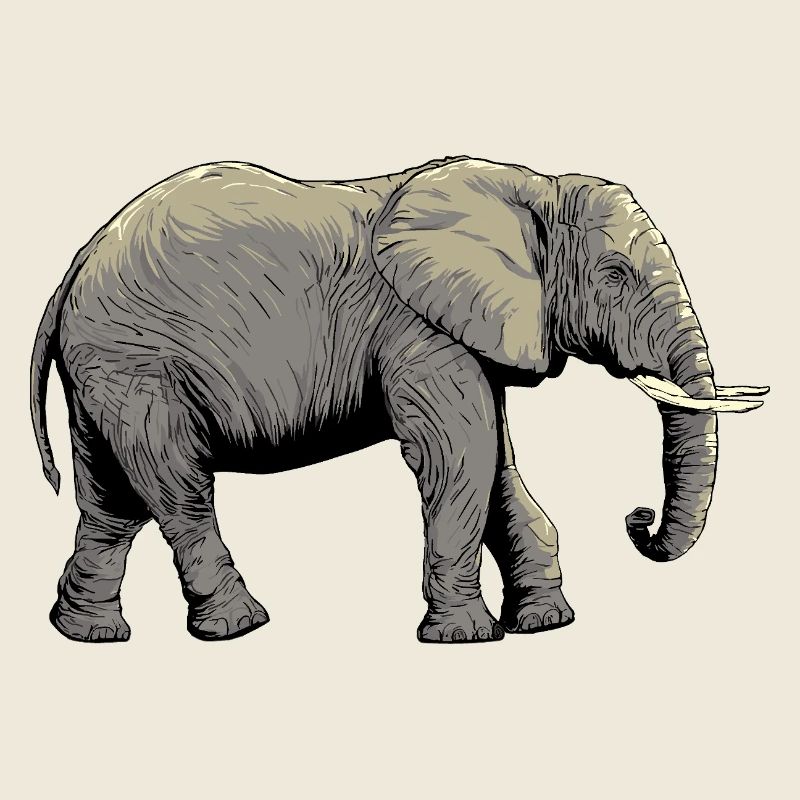 Individual elephant design