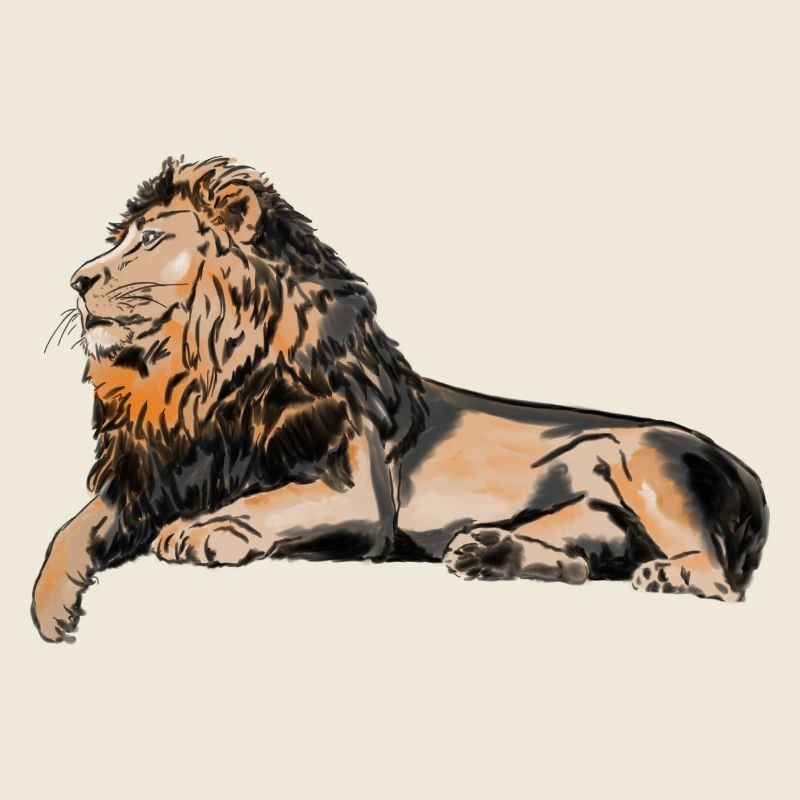 Lion majestueux couché