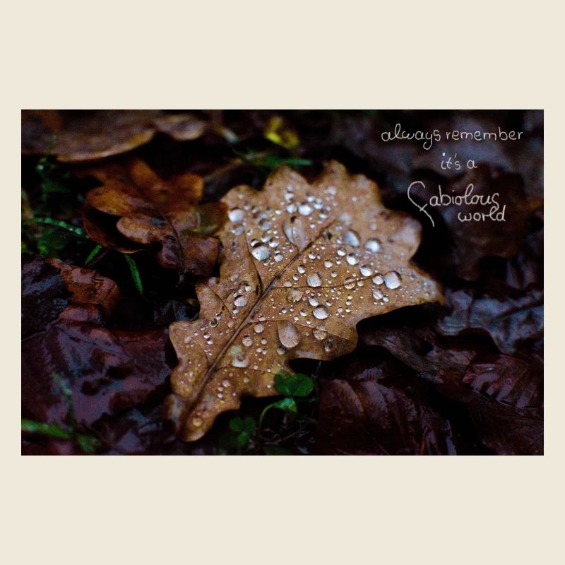 Monde fabioleux Feuille d’Automne