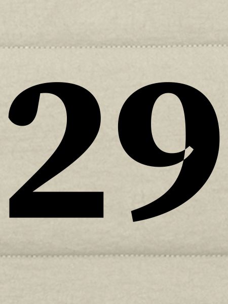 29