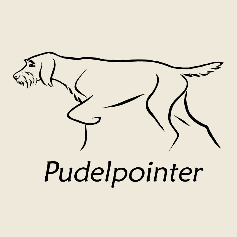 Pointeur caniche
