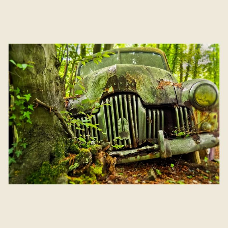 Waldverfall: Rostige Autoüberreste