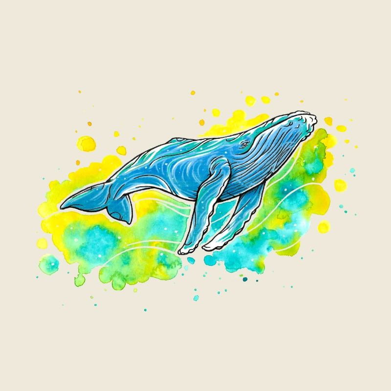 Baleine à bosse