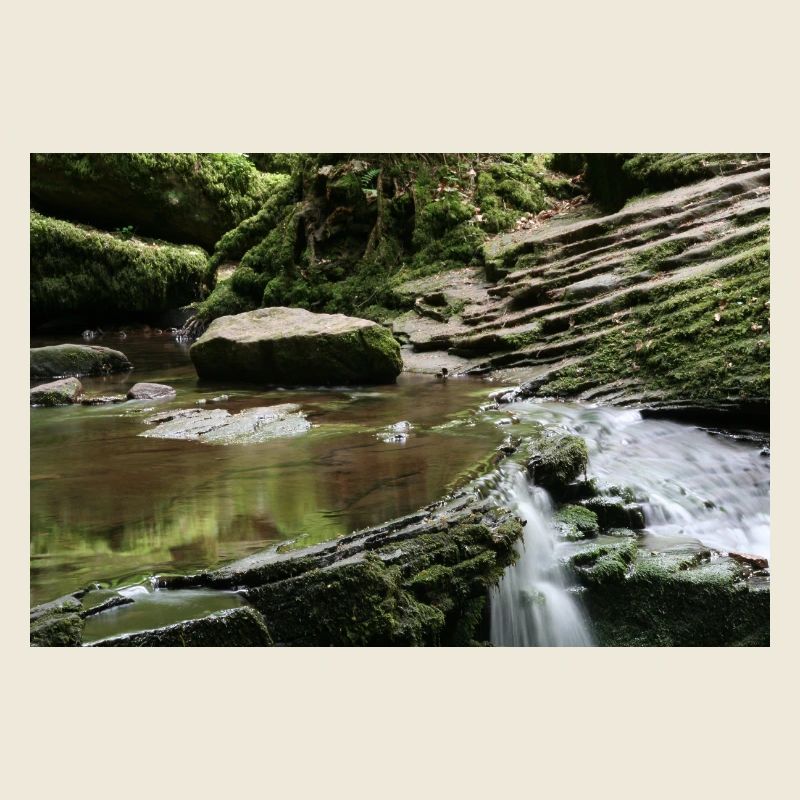 MONBACH DANS LE NORD DE LA FORÊT-NOIRE