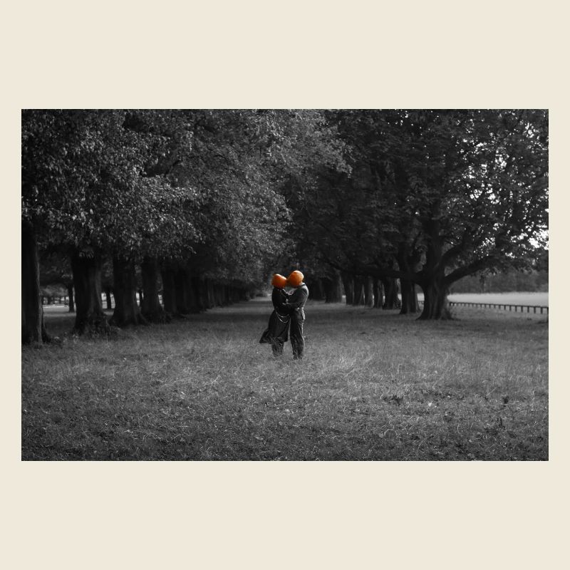 Silhouette de couple de citrouilles sous la canopée d’arbre