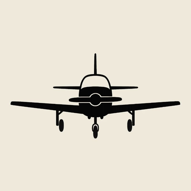 Frontale Flugzeug Silhouette
