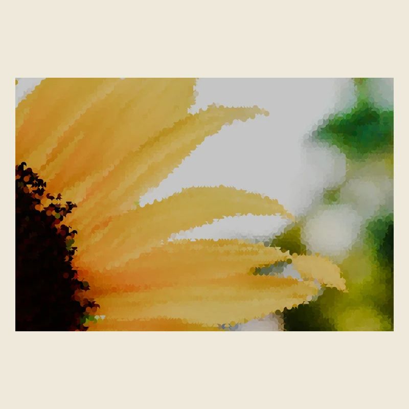 Aquarelles de tournesol