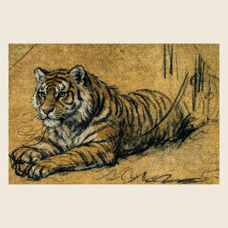 Croquis du tigre sur couleur sable