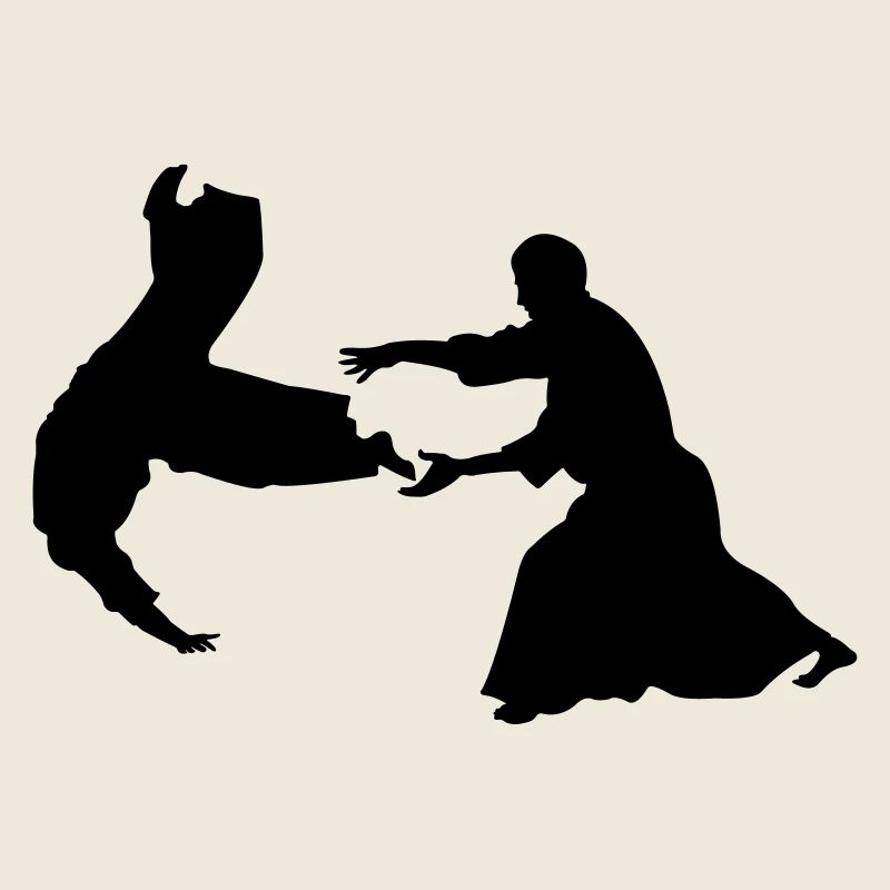 Aikido throw