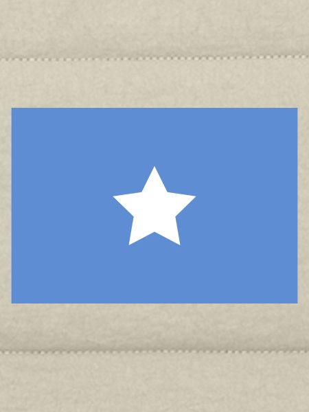 Drapeau somalien