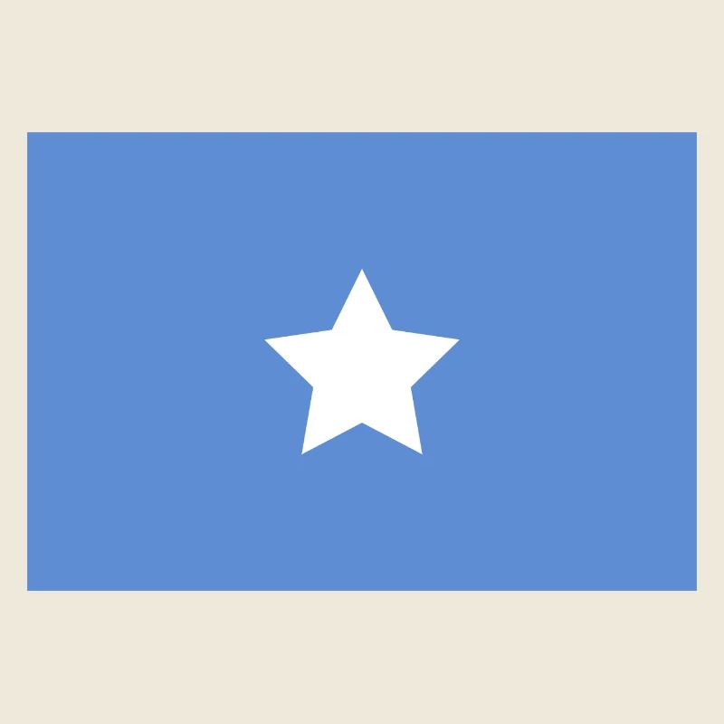 Drapeau somalien