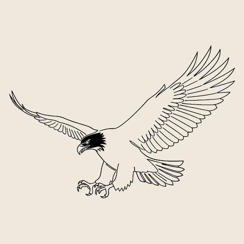 Minimalist Eagle Silhouette Freedom USA