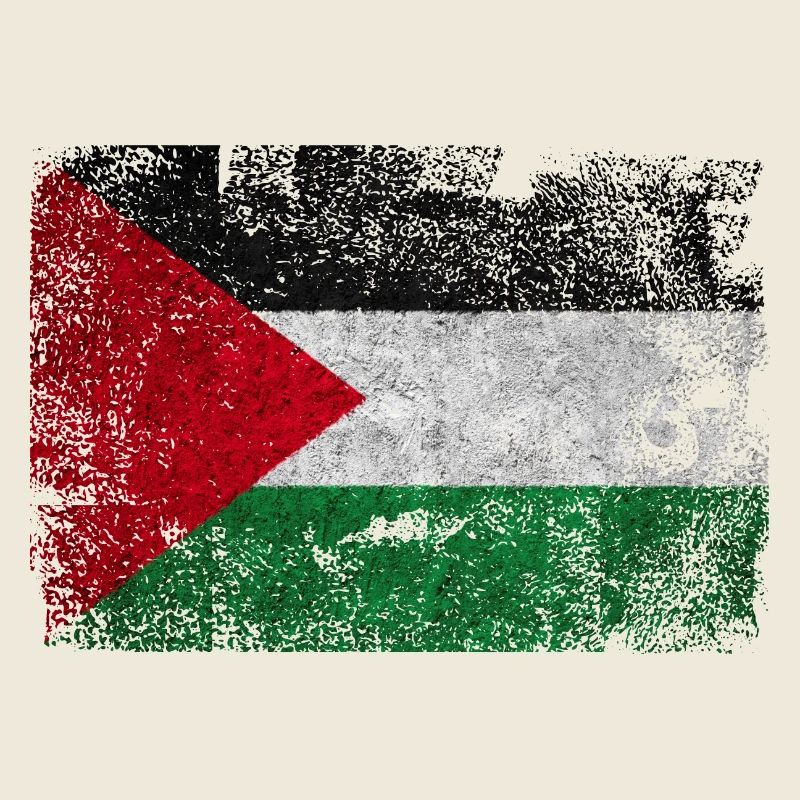 Texture grunge du drapeau palestinien