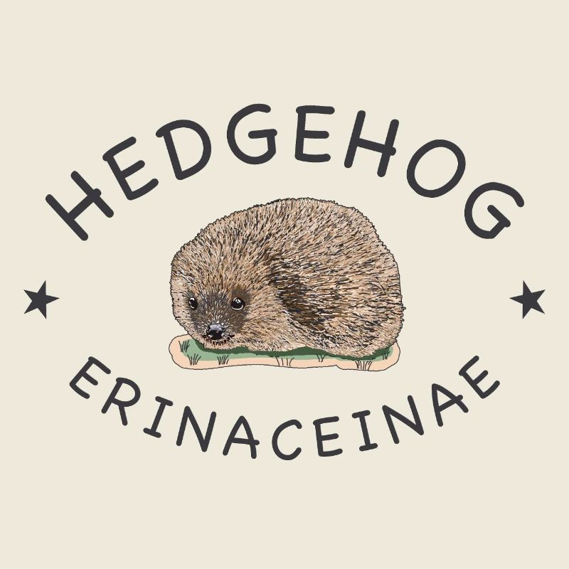 Echter Igel, wissenschaftlicher Name, Englisch