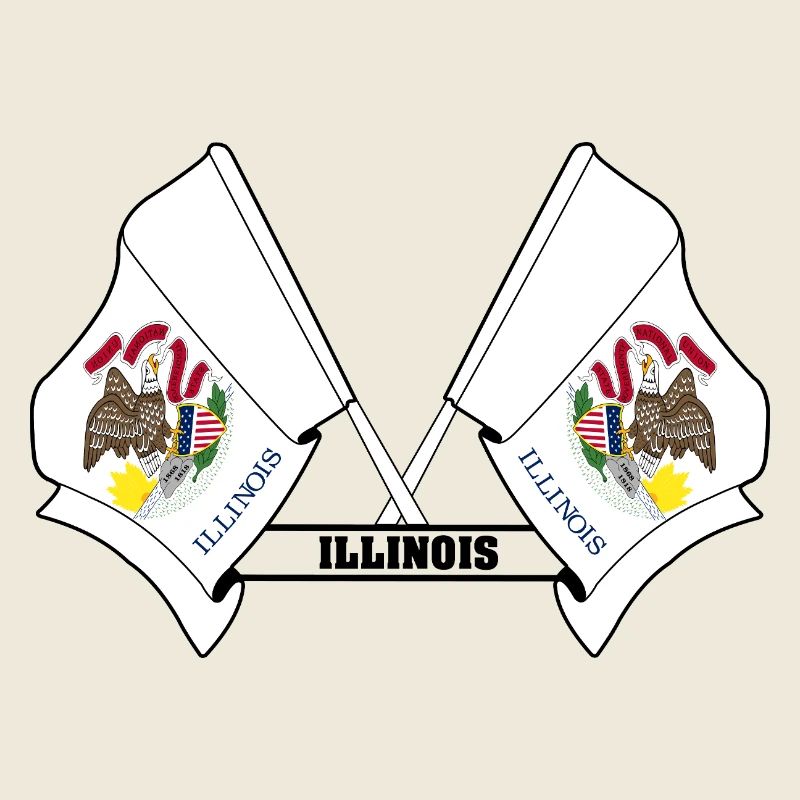 Zwei Flaggen mit dem Text ILLINOIS
