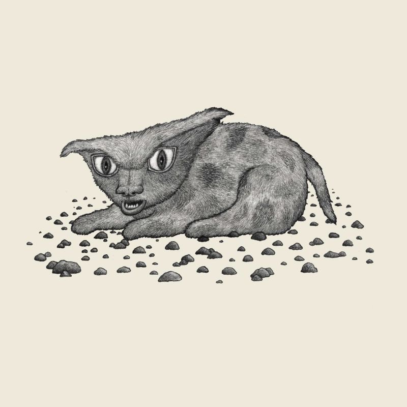 Grim Cat