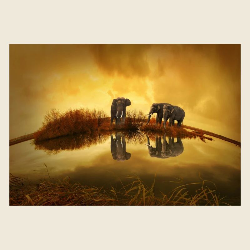 3 éléphants gris sous le ciel jaune