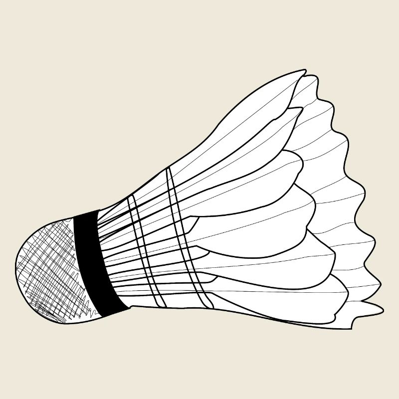 Badminton birdie