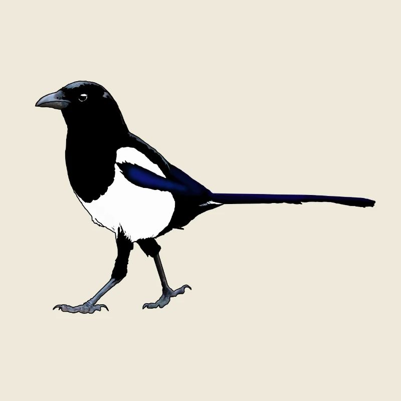 Elster