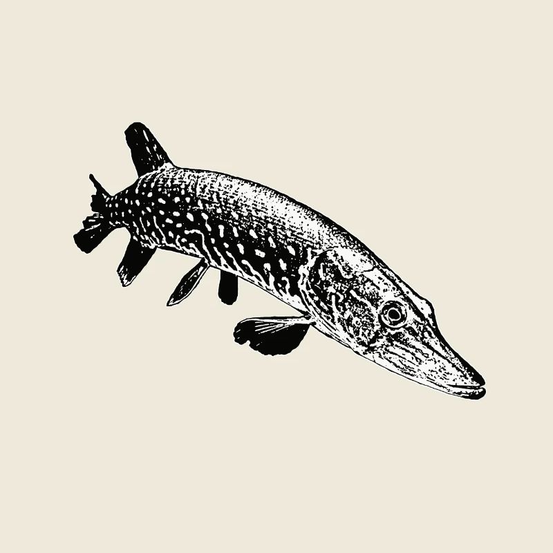 Brochet