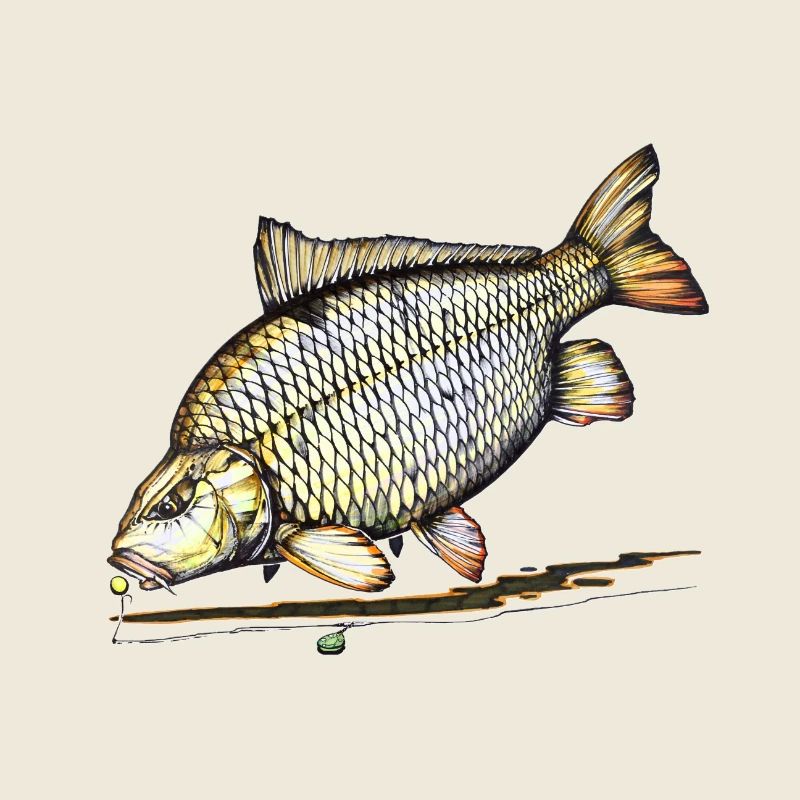 Gemeinsames Design von Karpfenangel-Rig-Anglern