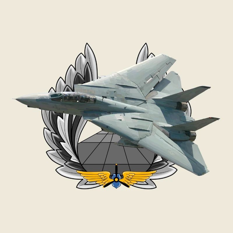 F-14 Tomcat