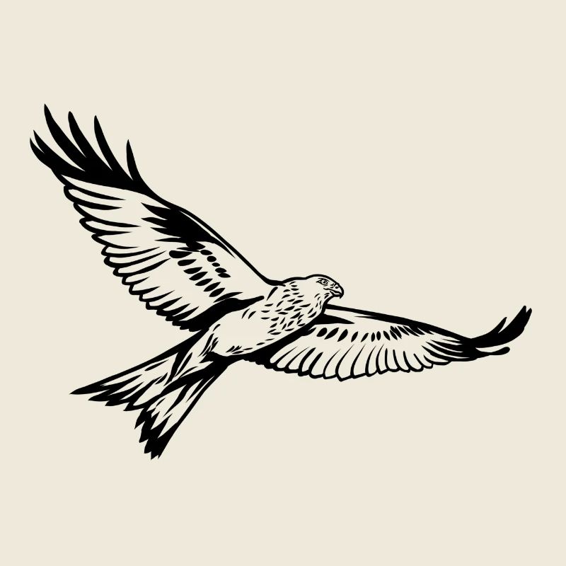 Red kite