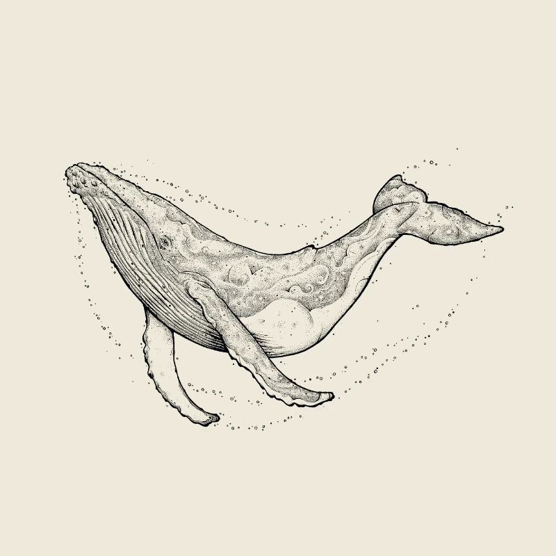 Baleine à bosse
